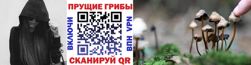Псилоцибиновые грибы мухоморы  Пыть-Ях 